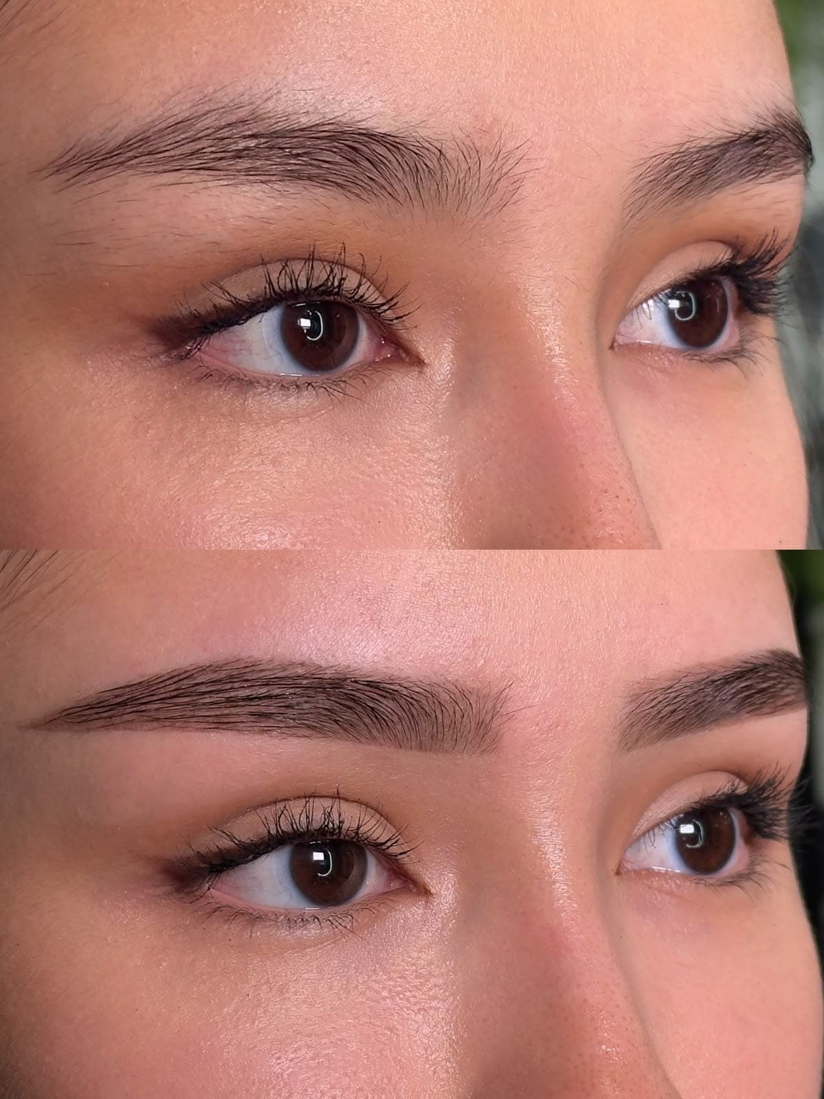 Perfect Eyebrows After Microblading