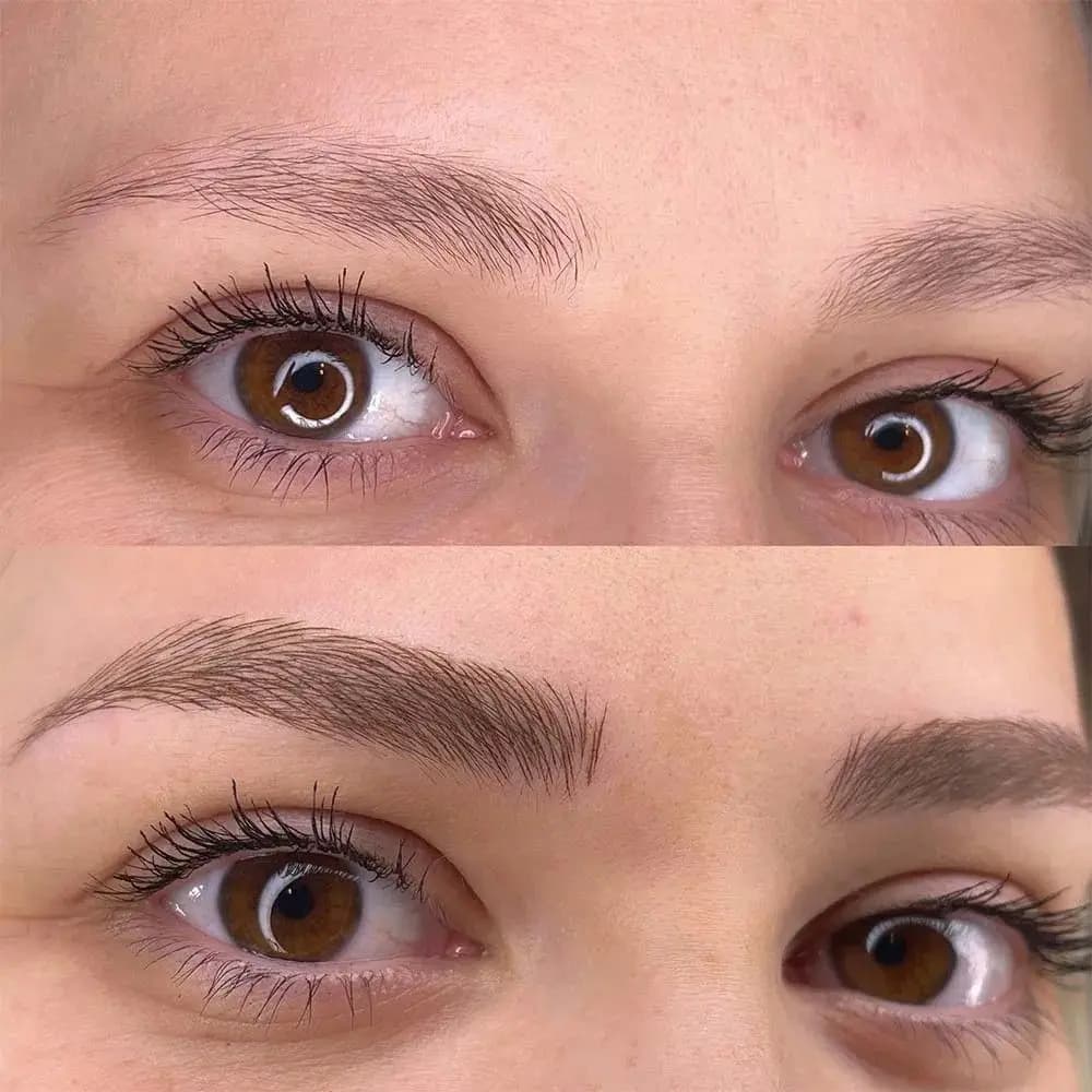 Perfect Eyebrows - Front View